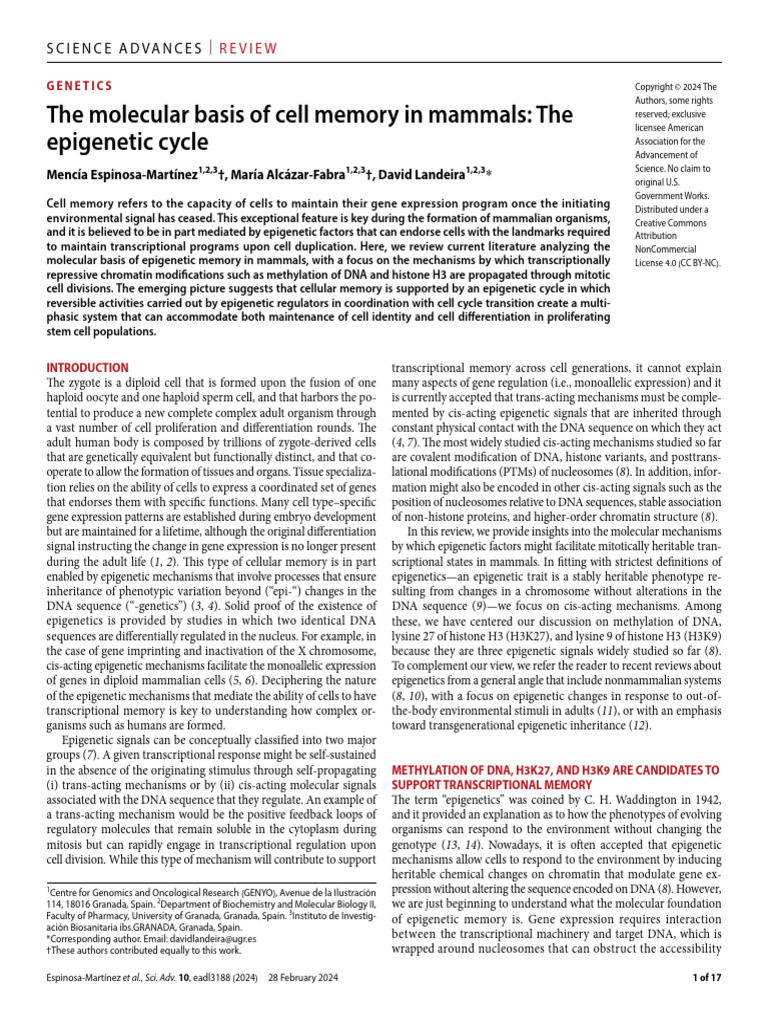 Epigenetic Memory Mechanisms in Mammals | PDF | Epigenetics | Histone
