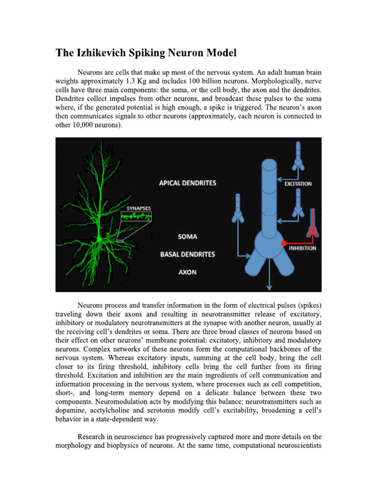 Spiking Neural Netwowrk | PDF