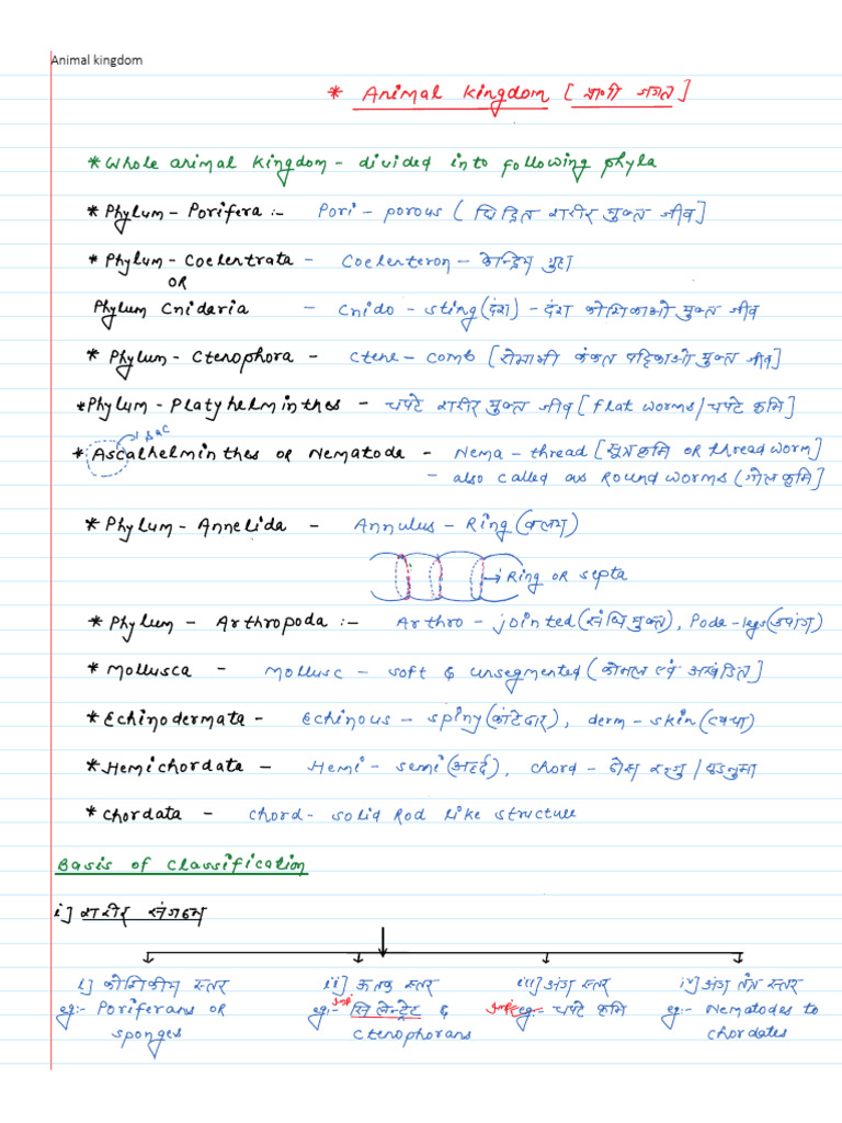 Basis of Classification | PDF