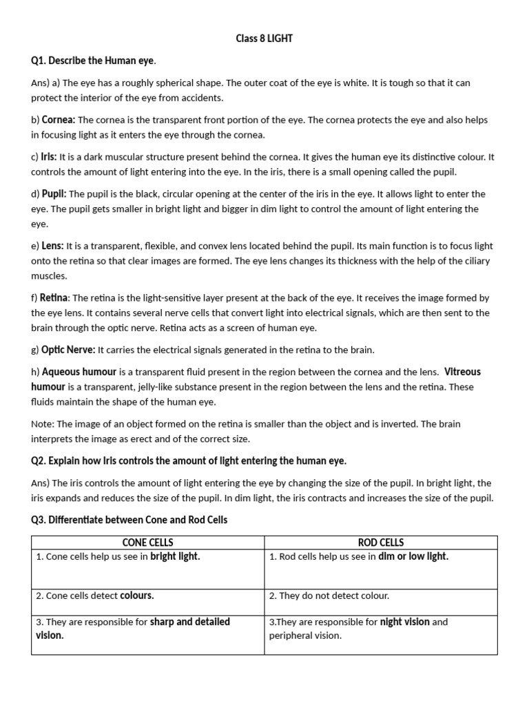 Class 8 LIGHT(Notes) | PDF | Eye | Human Eye