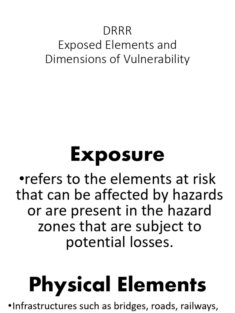 Vulnerability Elements and Dimensions | PDF | Hazards | Economies