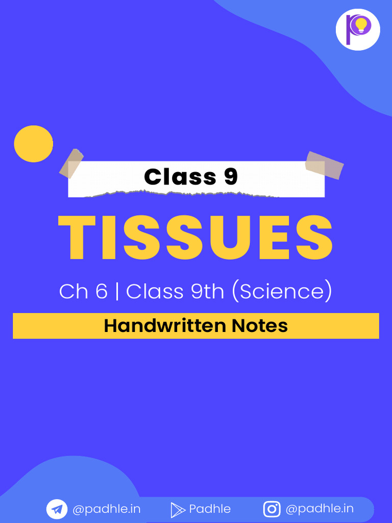 Class 9 Science Tissues Handwritten Notes | PDF
