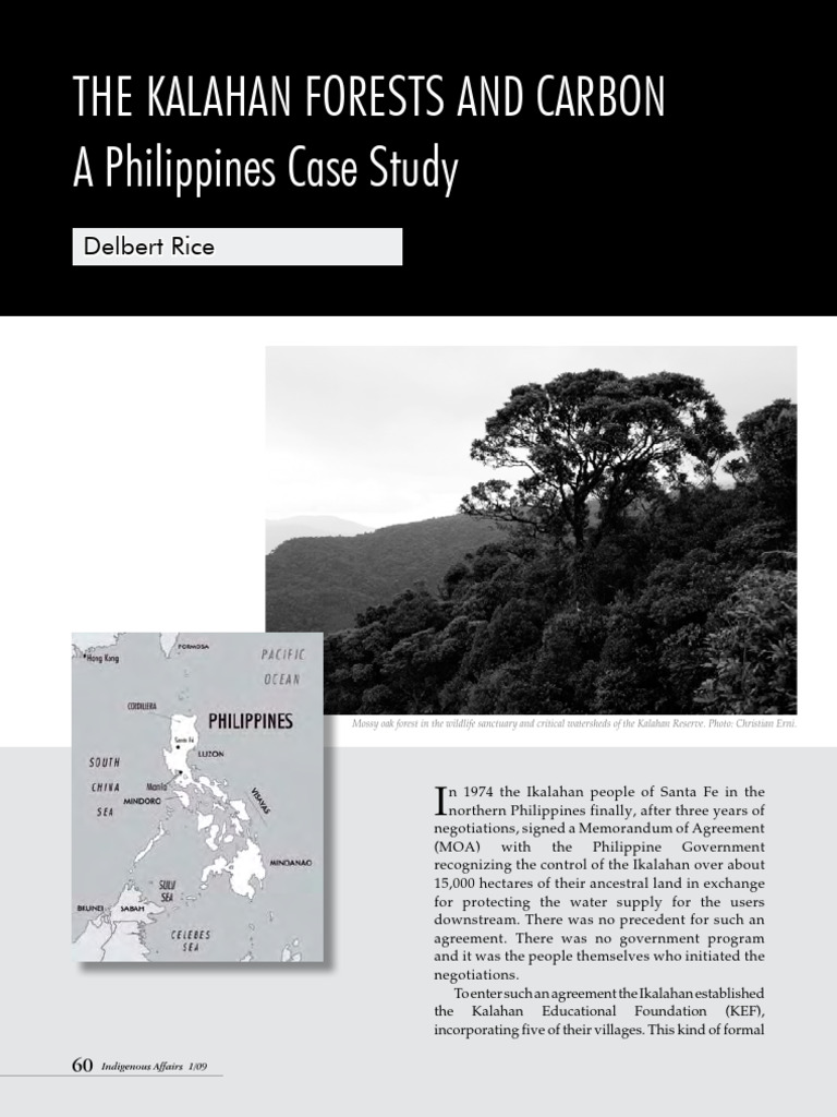 Kalahaan Forests: Carbon Sequestration Insights | PDF | Forests ...