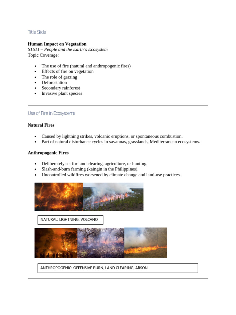 Human Impact on Vegetation and Ecosystems | PDF | Deforestation | Forests
