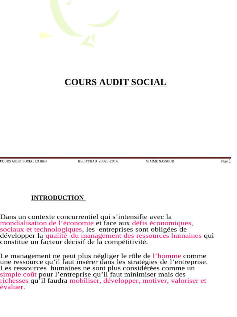 Cours sur l'Audit Social en GRH | PDF | Audit | Gestion des ressources ...