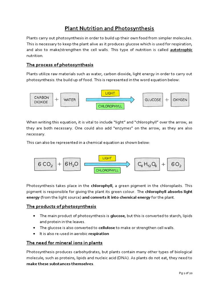 Plant Nutrition and Photosynthesis Guide | PDF | Photosynthesis ...