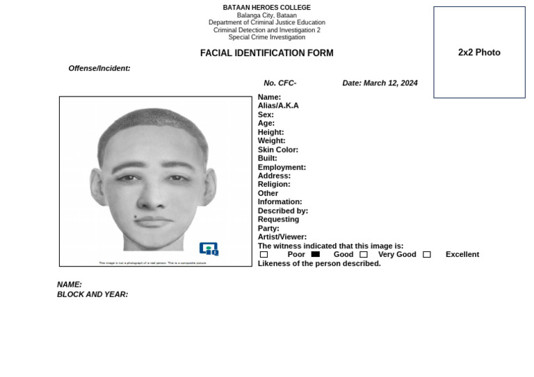 Facial Identification Form | PDF