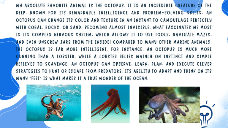 My Absolute Favorite Animal is the Octopus. It is an Incredible ...