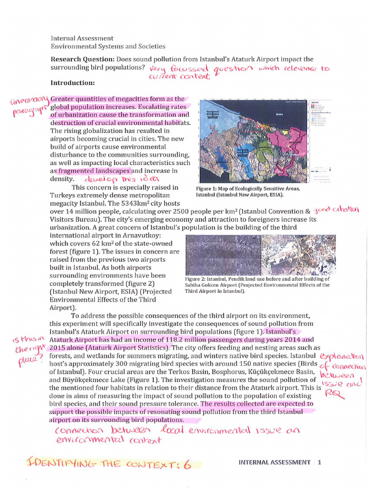 High Scoring ESS IA | PDF