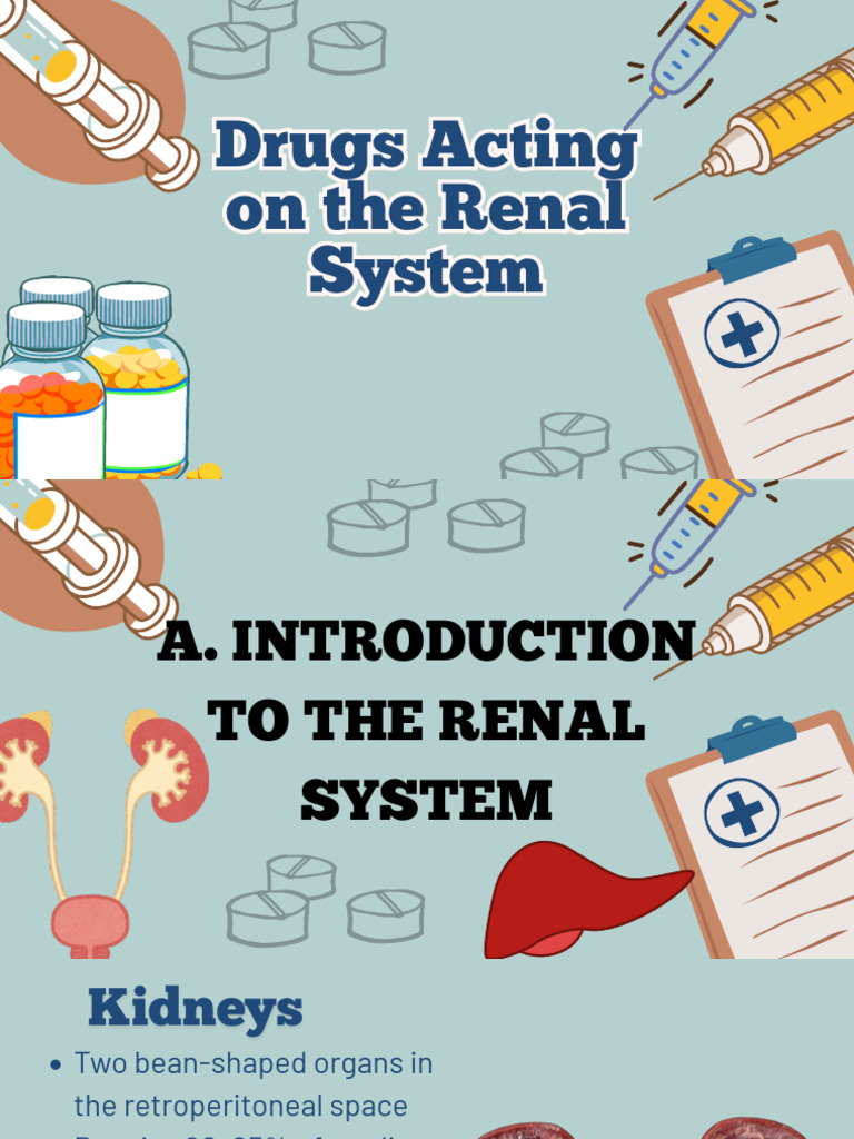 Renal System Drugs and Diuretics Guide | PDF | Kidney | Medical Specialties
