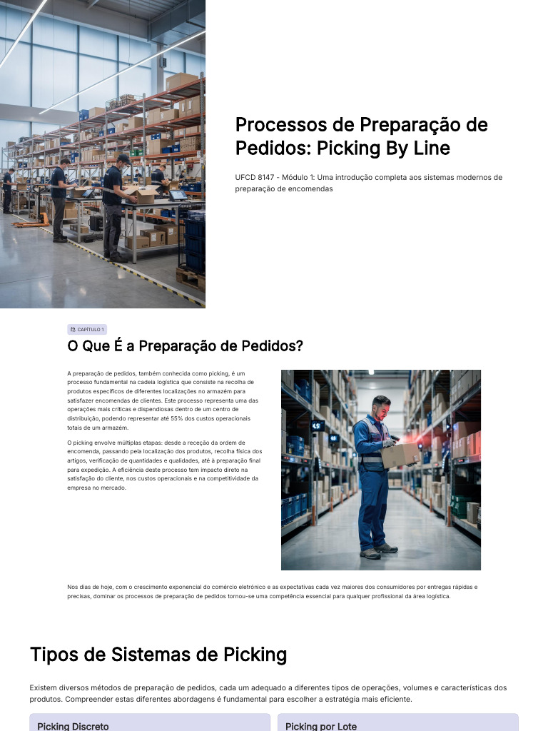Picking By Line: Eficiência em Armazéns | PDF | Logística ...
