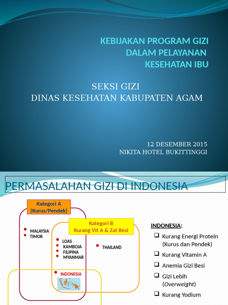 Program Gizi Anc Terpadu Nikita 2015 | PDF