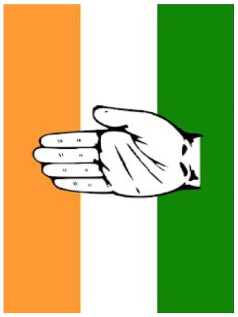 Congress Flag | PDF