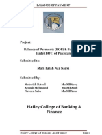 Project of Eop (Balance of Payment)