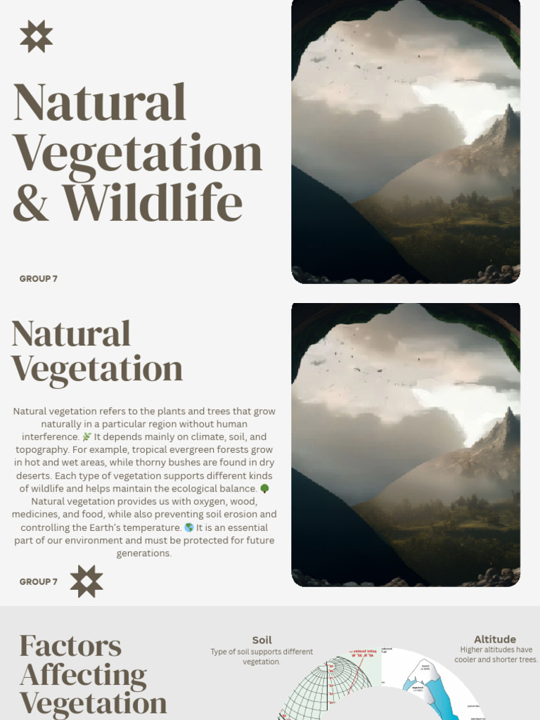 Natural Vegetation and Wildlife Overview | PDF | Forests | Trees