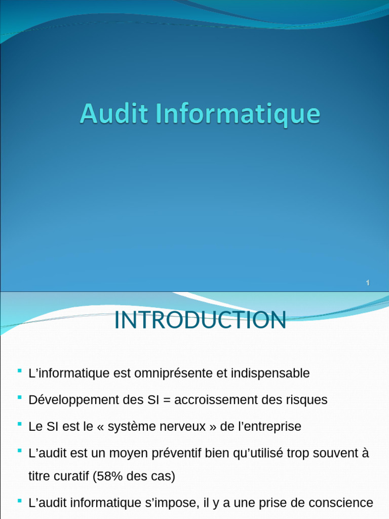 Audit Informatique : Méthodes et Objectifs | PDF | Sécurité des ...