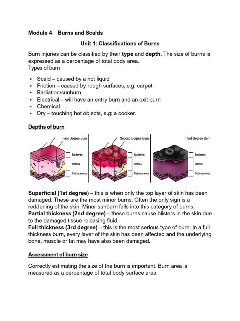 Understanding Burns: Types and Treatment | PDF | Burn