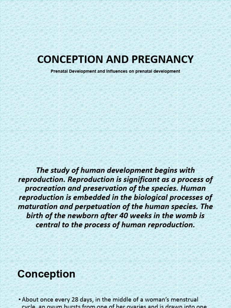 Conception and Prenatal Development Guide | PDF | Human Reproduction ...