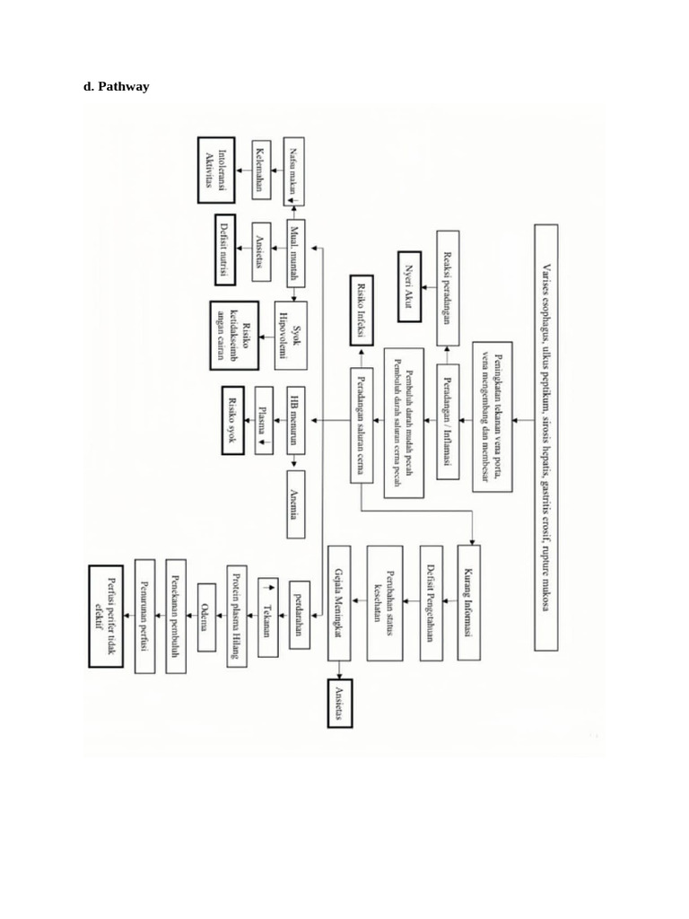 Pathway | PDF