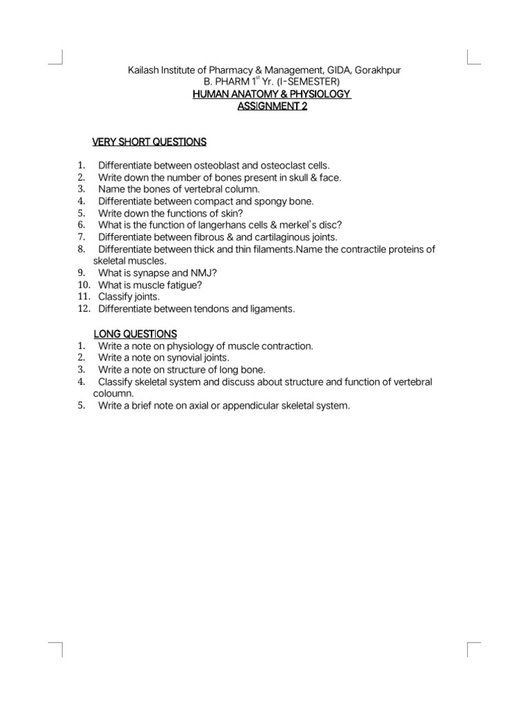 Assignment 2 Hap | PDF