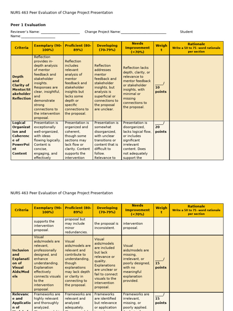 NURS 463 Change Project Peer Evaluation | PDF