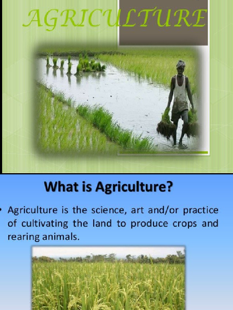 Overview of Agricultural Practices in India | PDF | Agriculture | Legume