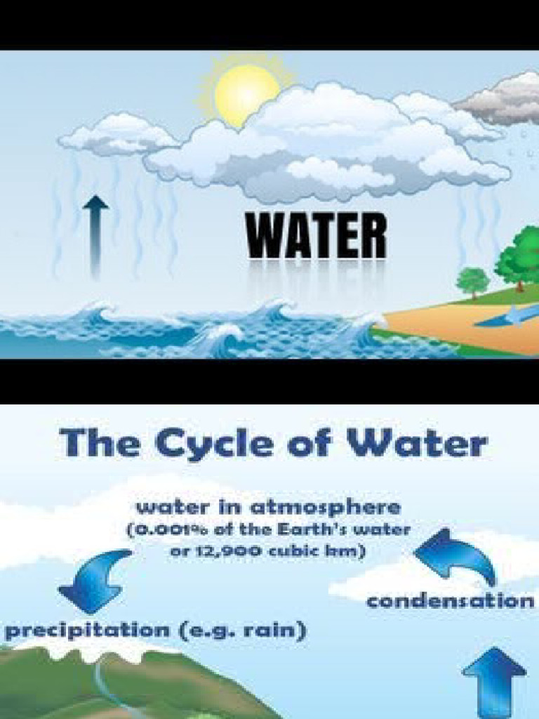Water Scarcity: Causes and Solutions | PDF | Water Scarcity | Water