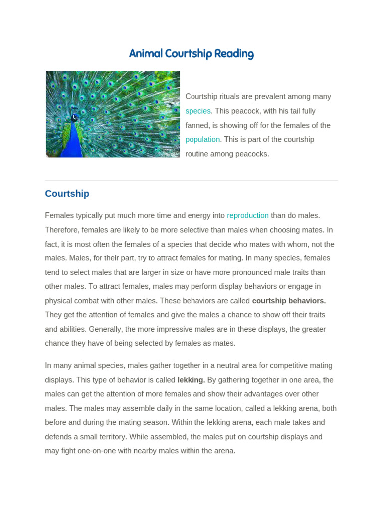 Animal Courtship Rituals Explained | PDF | Peafowl | Zoology
