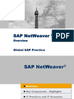 SAP NetWeaver Overview