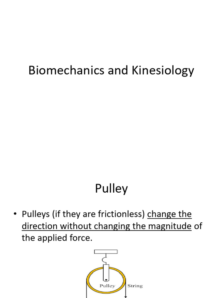 Understanding Pulleys and Equilibrium | PDF