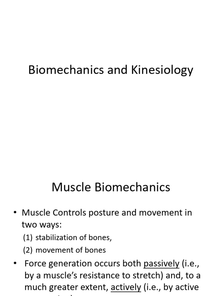 Biomechanics and Kinesiology - Muscle | PDF | Muscle Contraction ...