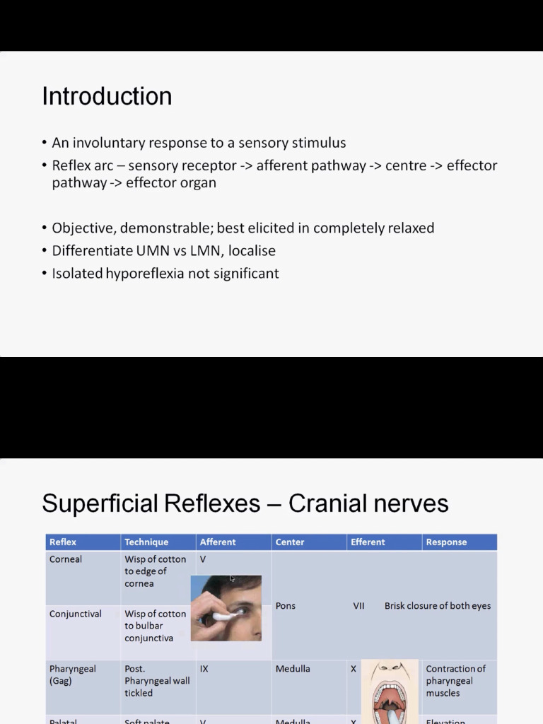 CNS Examination | PDF