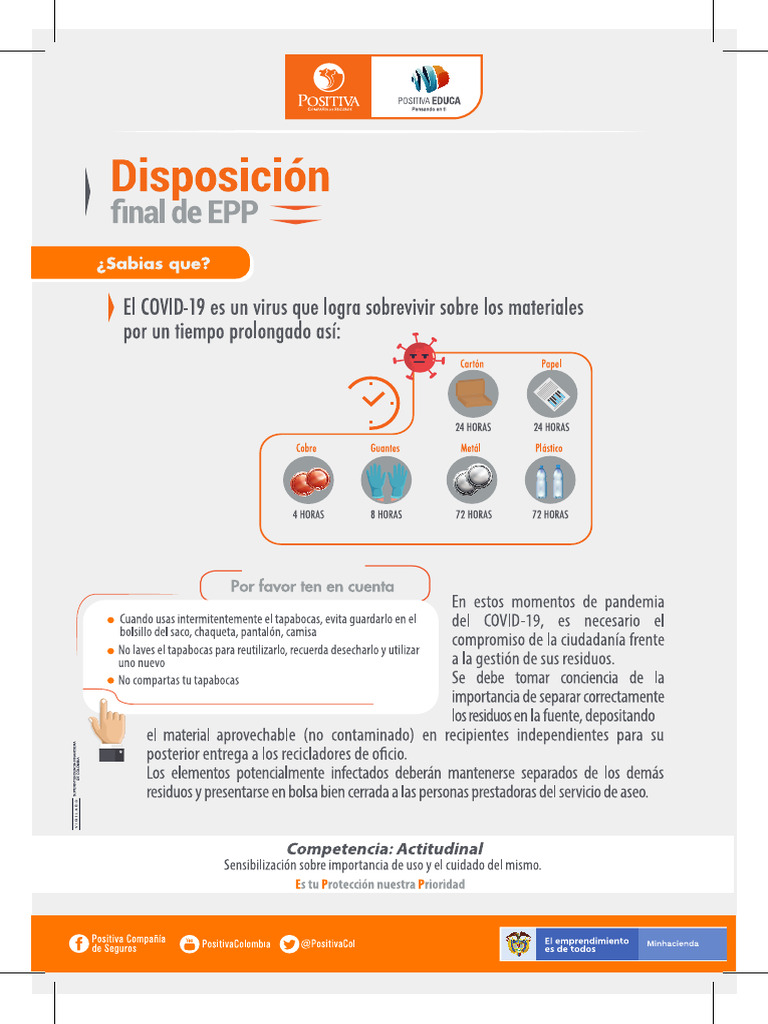 Disposicion Final Epp v2 | PDF