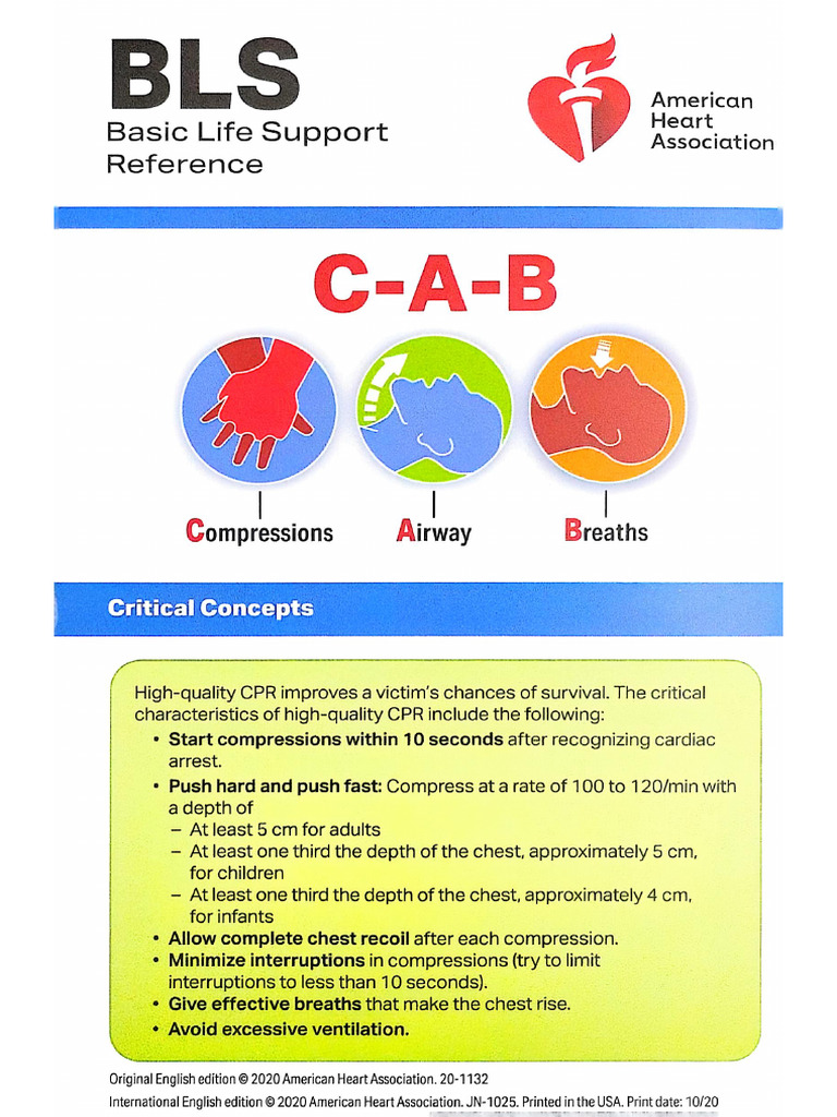 BLS Aha | PDF