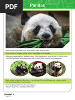 Panda Adaptations: Behavior & Structure | PDF | Giant Panda | Digestion