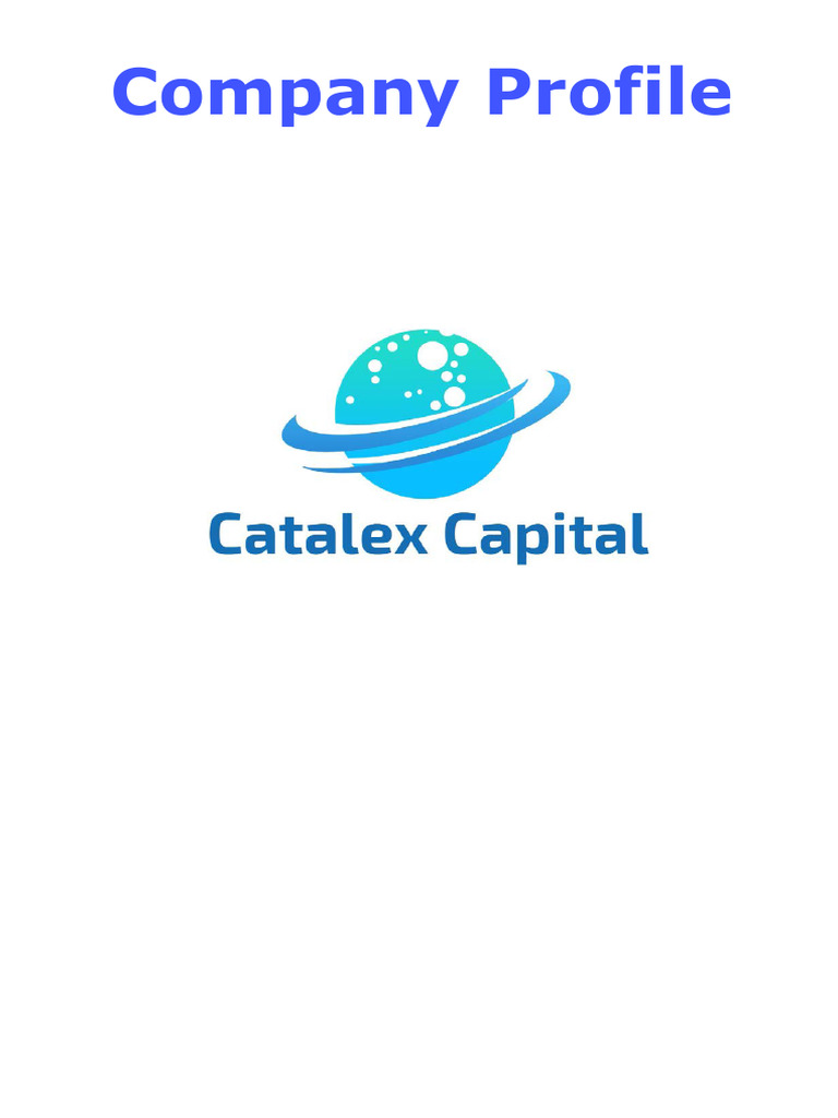 Company Profile | PDF | Money | Limited Liability Company