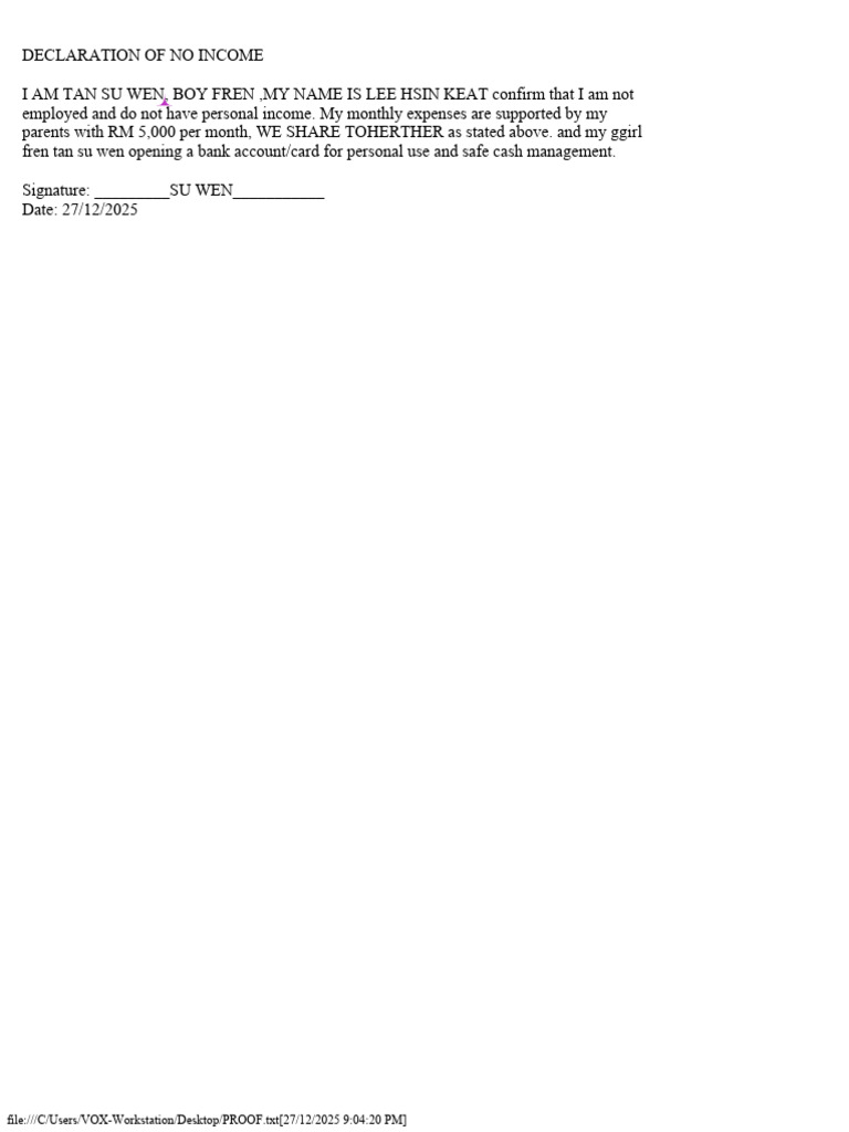 Declaration of No Income Statement | PDF