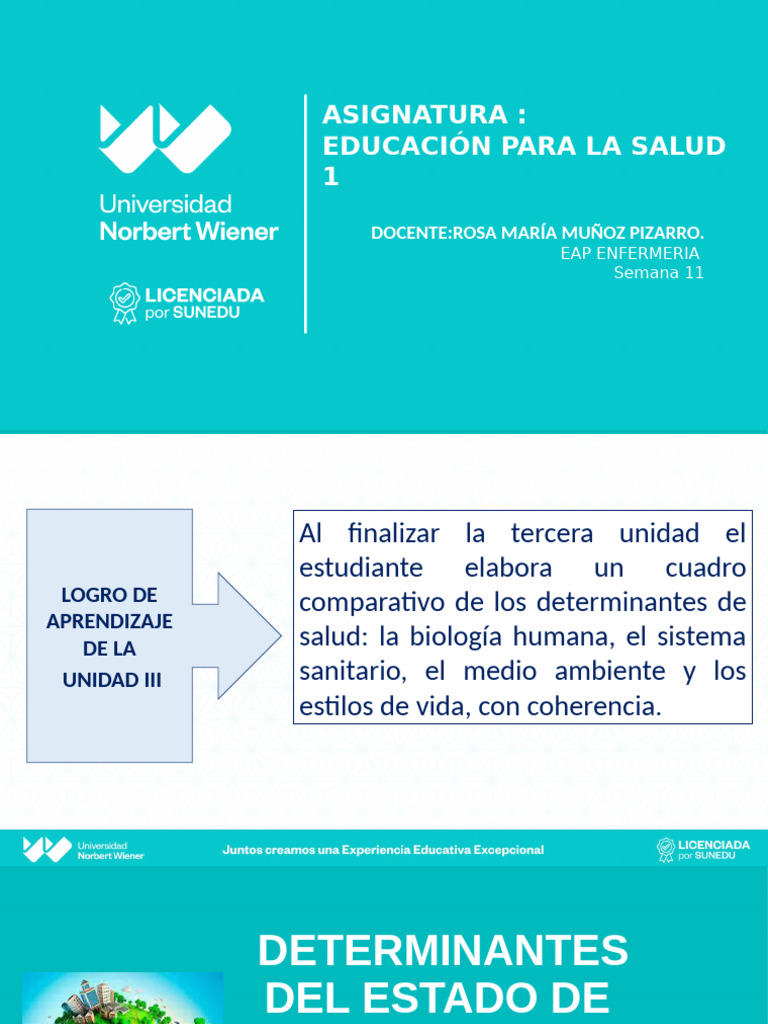 Determinantes de Salud y Medio Ambiente | PDF | Contaminación | Residuos