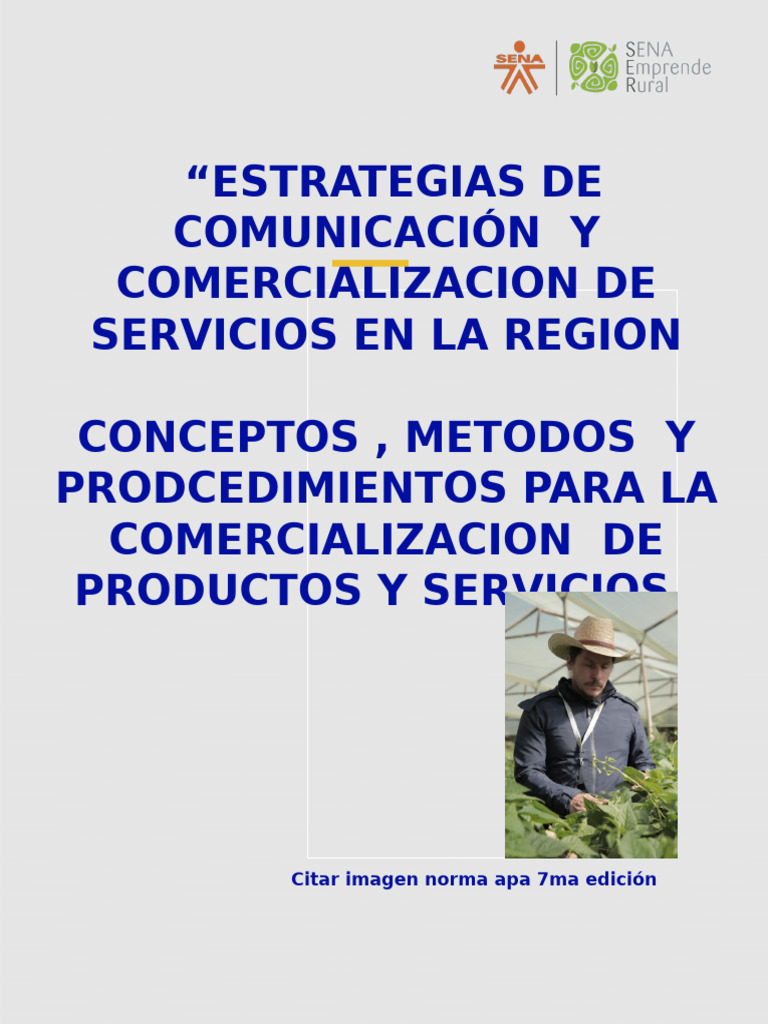 Estrategias de Marketing Digital para Emprendedores | PDF ...