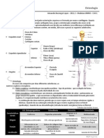 Morfofisiologia: Osteologia