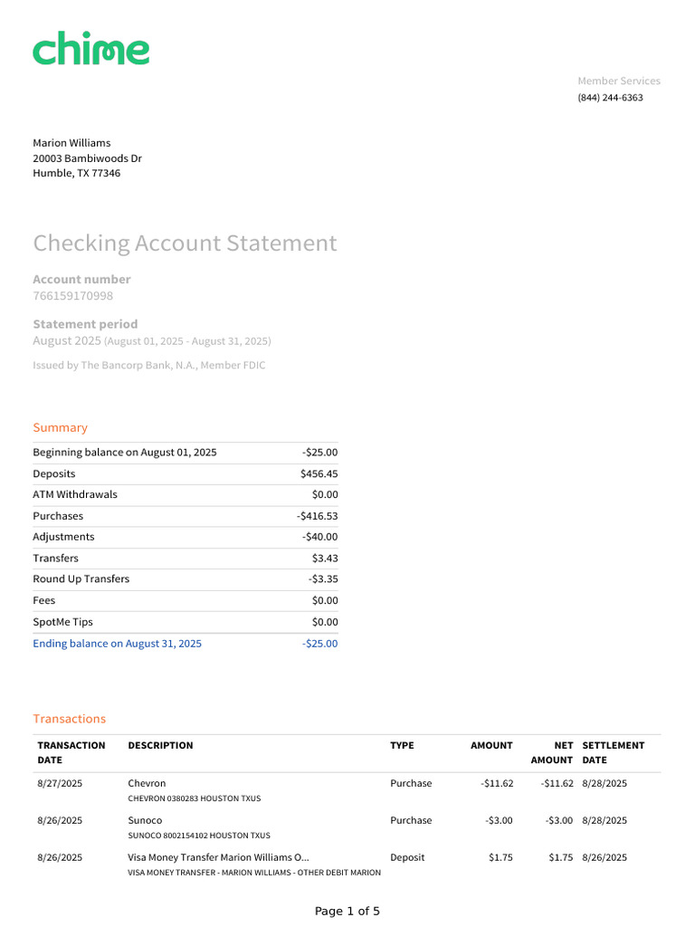 August 2025 Checking Statement Summary | PDF | Debit Card | Visa Inc.