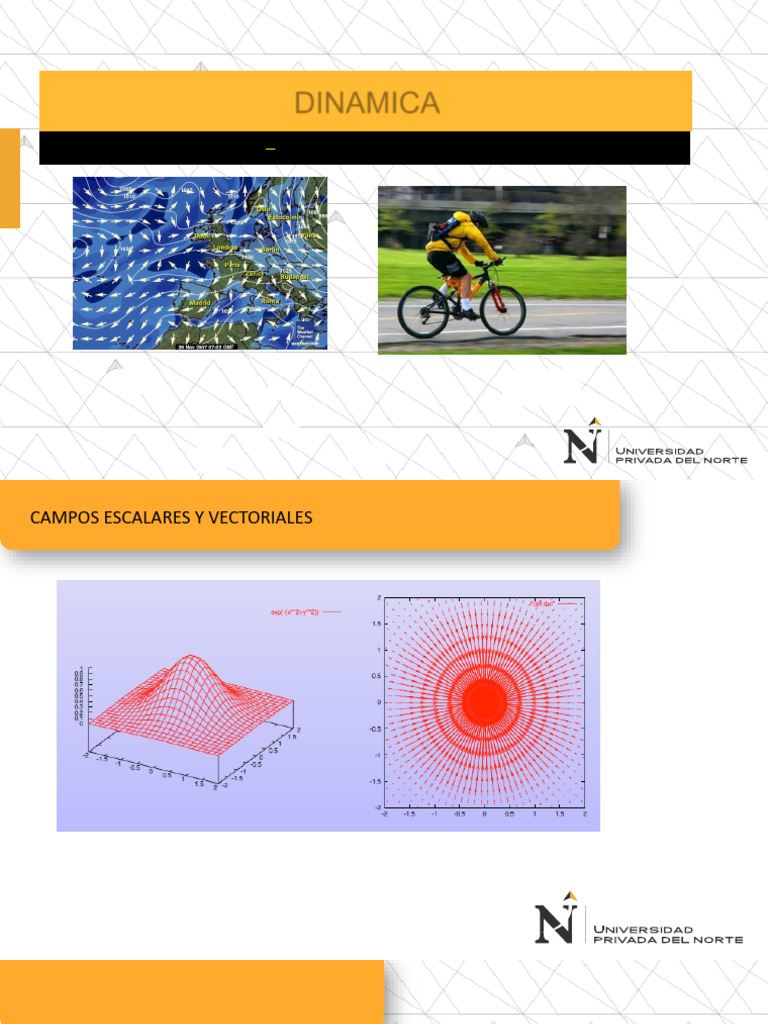 Campos Escalares y Vectoriales en Dinámica | PDF | Campo (física ...
