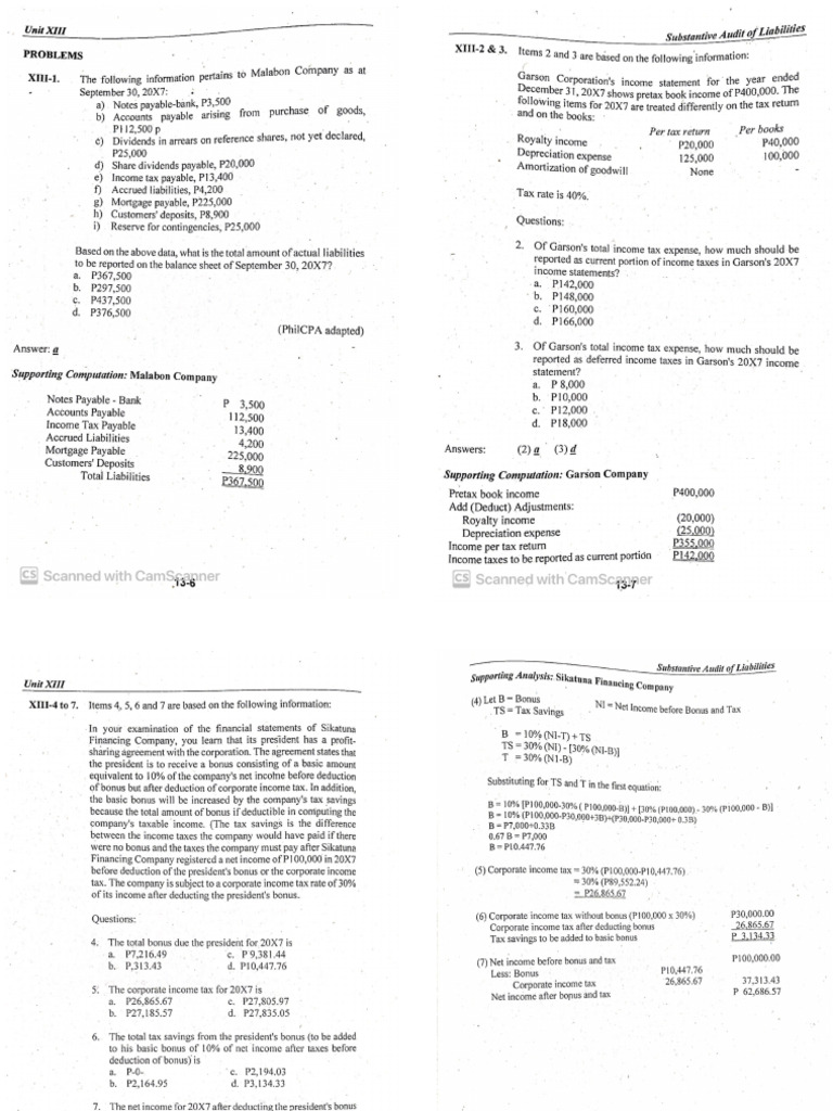 Audit Liab (Cabrera) | PDF