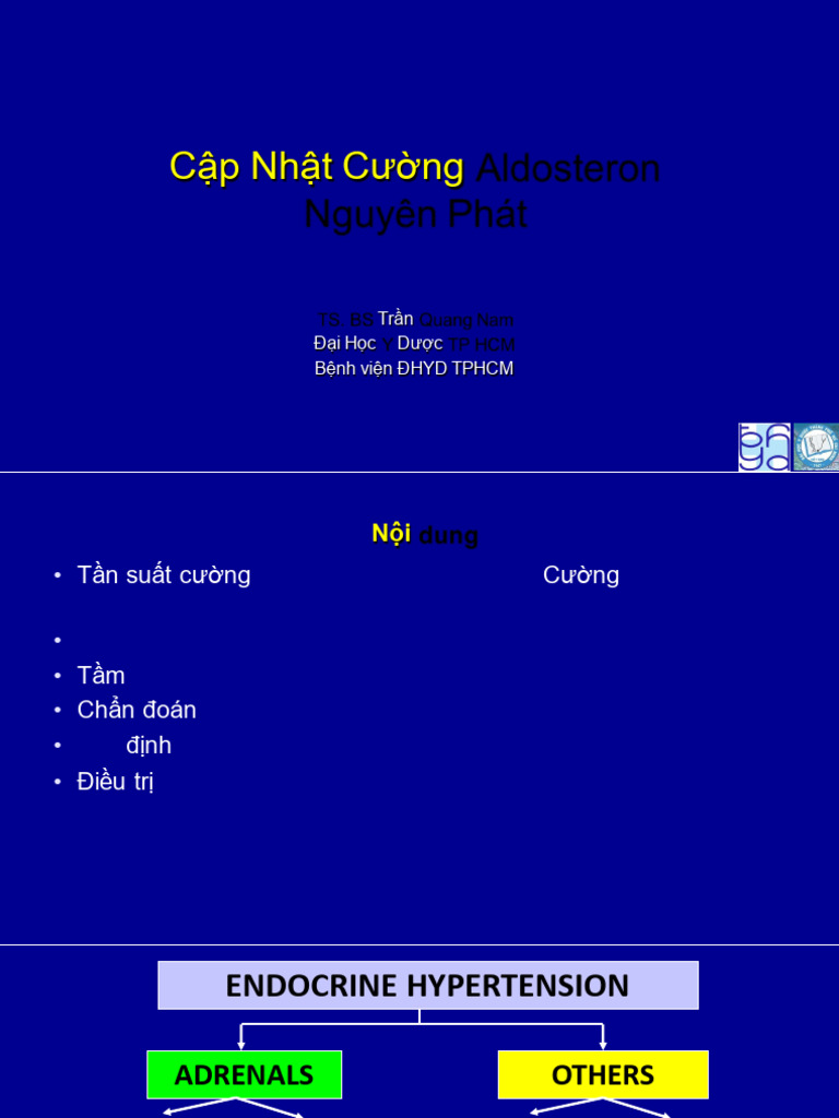 Bs Nam-Cap Nhat Cuong Aldosterone Nguyen Phat-8-2019 Dhyd | PDF