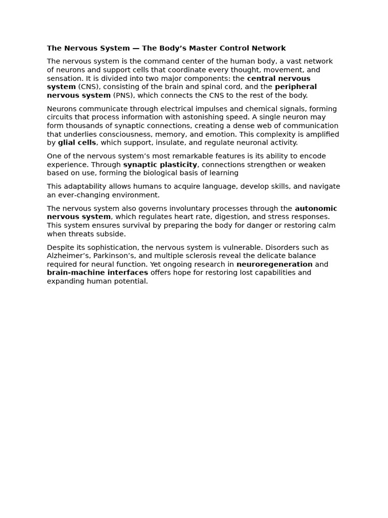Understanding the Nervous System | PDF