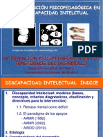 Disc Intelect 2012