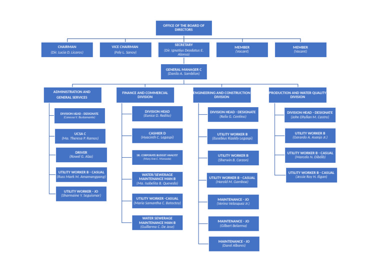 Board of Directors and Staff Roles | PDF