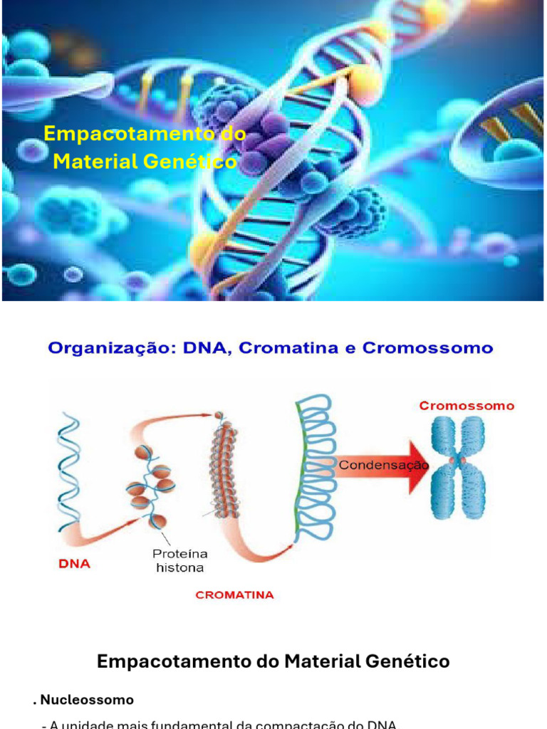 Compactação e Herança do Material Genético | PDF | DNA | Gene