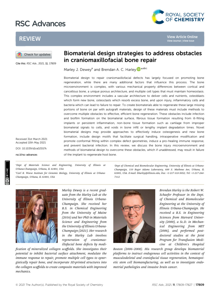 Biomaterial Strategies for Bone Repair | PDF | Bone | Macrophage