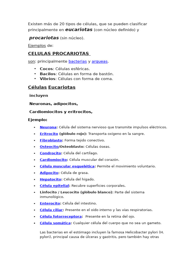 Tipos de Células: Eucariotas y Procariotas | PDF | Biología Celular ...